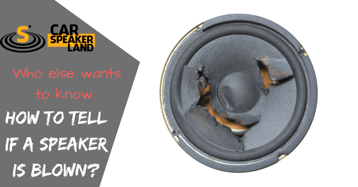 How_to_tell_if_a_speaker_is_blown